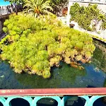 Dolce Rame Ortigia Apartmán Syracuse