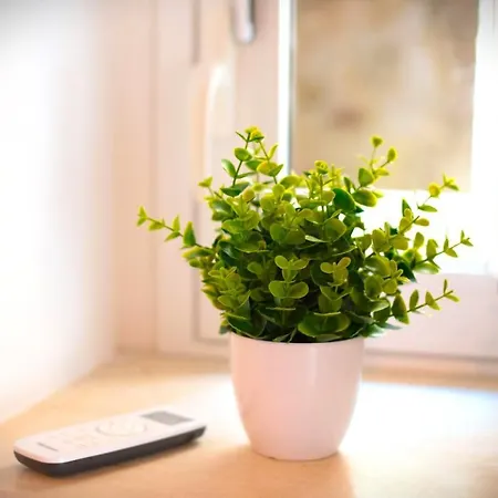 Dolce Rame Ortigia 锡拉库扎